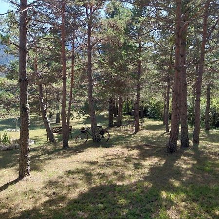 Petit Studio Dans La Prairie Saint-Auban  Dış mekan fotoğraf
